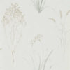 Farne Grasses 216487